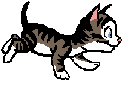 kissa animoituja-kuvia-gif